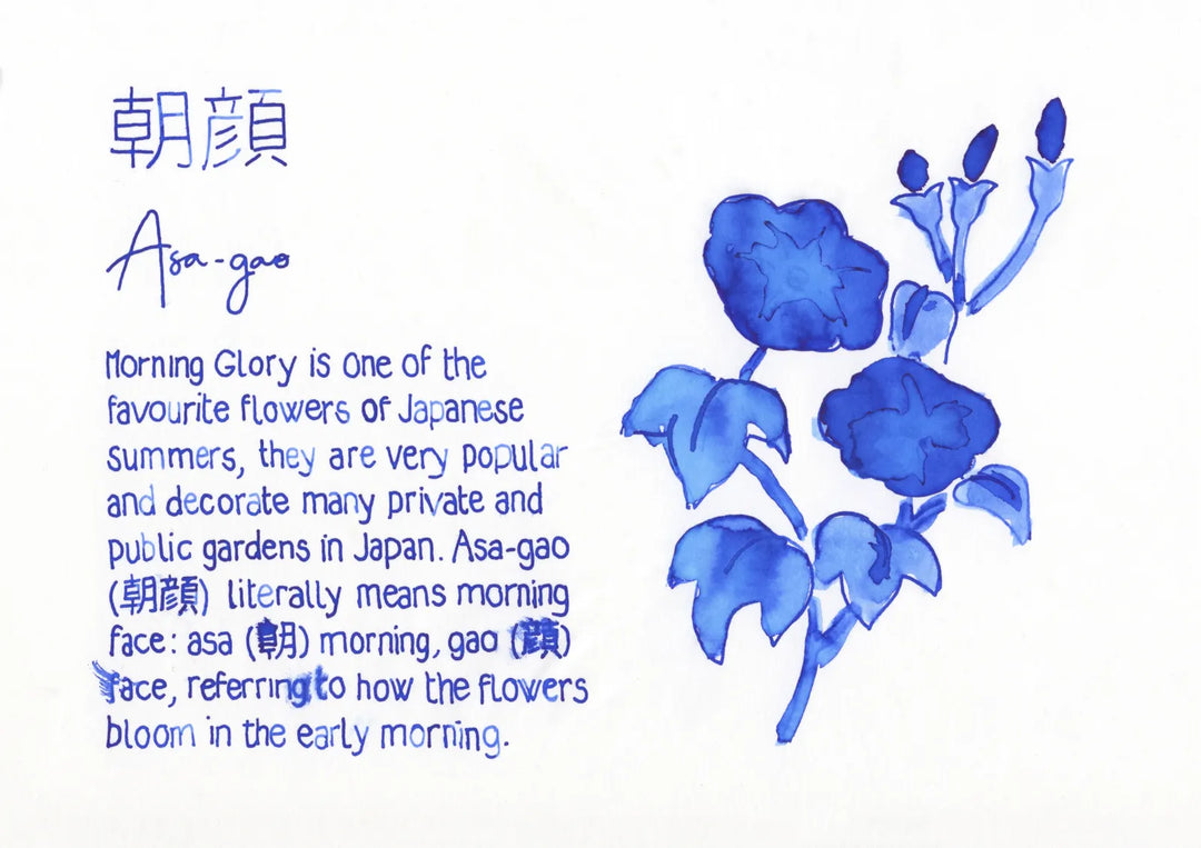 Pilot Iroshizuku Ink Bottle — Asa-gao (Morning Glory)