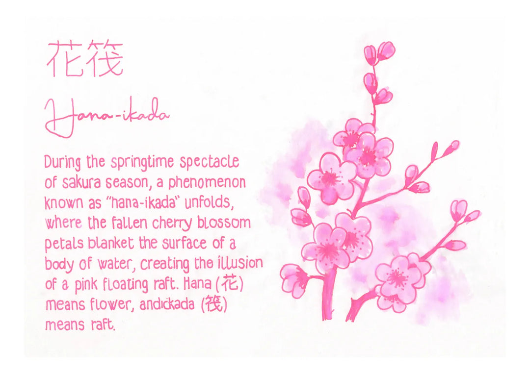 Pilot Iroshizuku Ink Bottle — Hana-ikada (Cherry Blossom Petals)