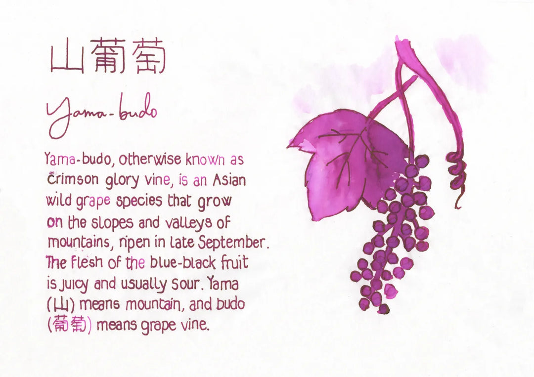 Pilot Iroshizuku Ink Bottle — Yama-budo (Crimson Glory Vine)
