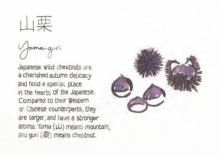 Pilot Iroshizuku Ink Bottle — Yama-guri (Wild Chestnut)